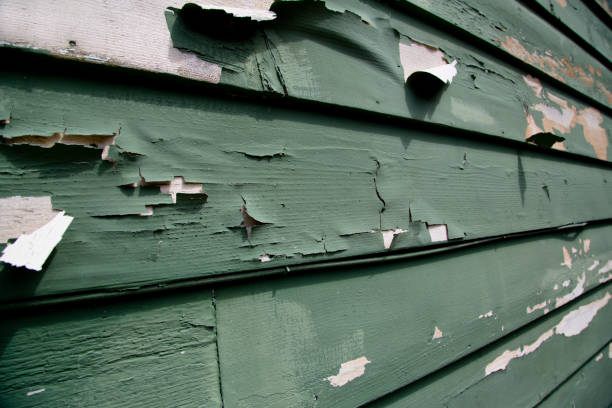 Best Dumpster Rental Services  in Briar, TX